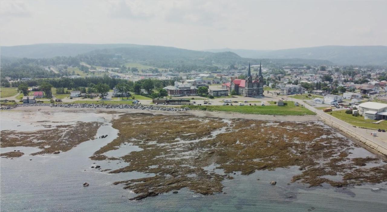 Sainte Anne-des-ChênesLe Couvent公寓 外观 照片